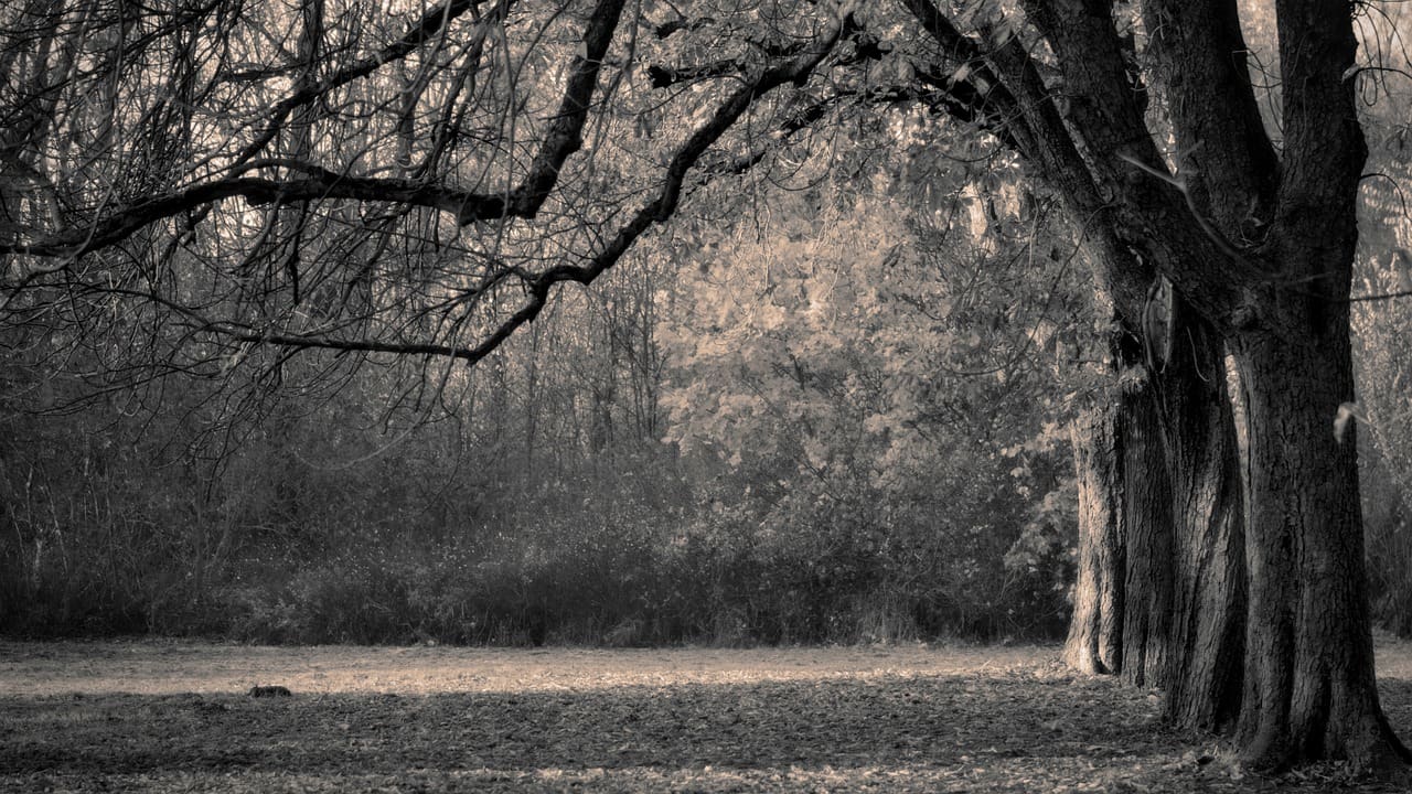 Best Ways To Manage And Cope With Grief And Loss
