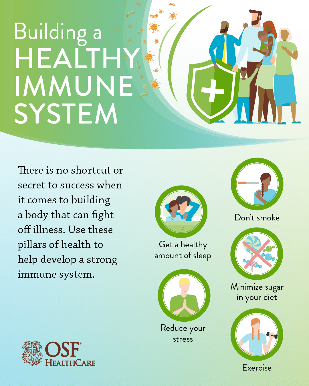 Best Ways To Promote And Maintain A Healthy Immune System