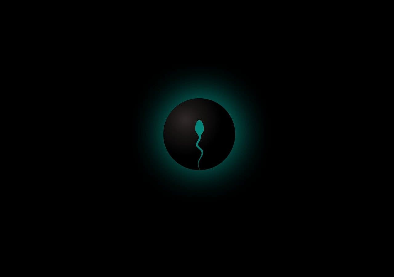 Essential Fertility Facts Every Woman Should Know