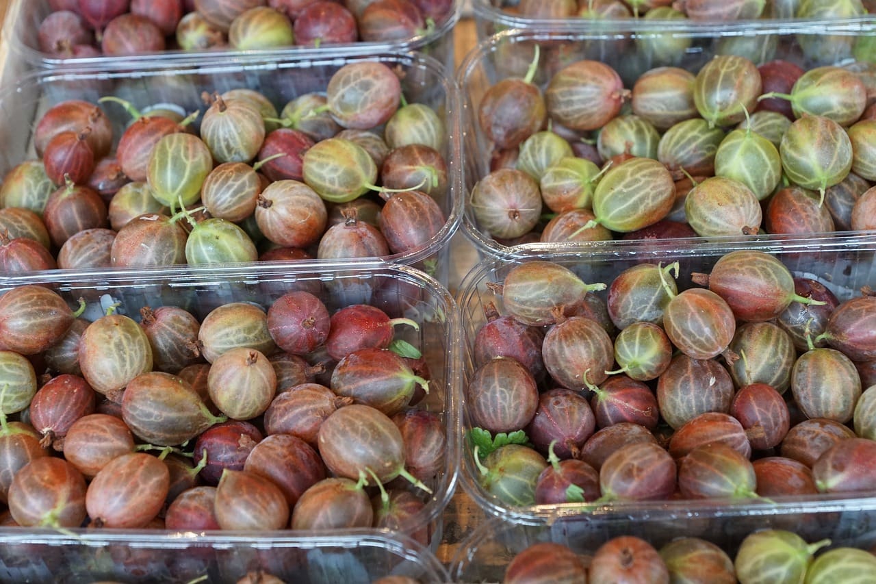 Exploring The Benefits Of Traditional Chinese Medicine For Digestive Health