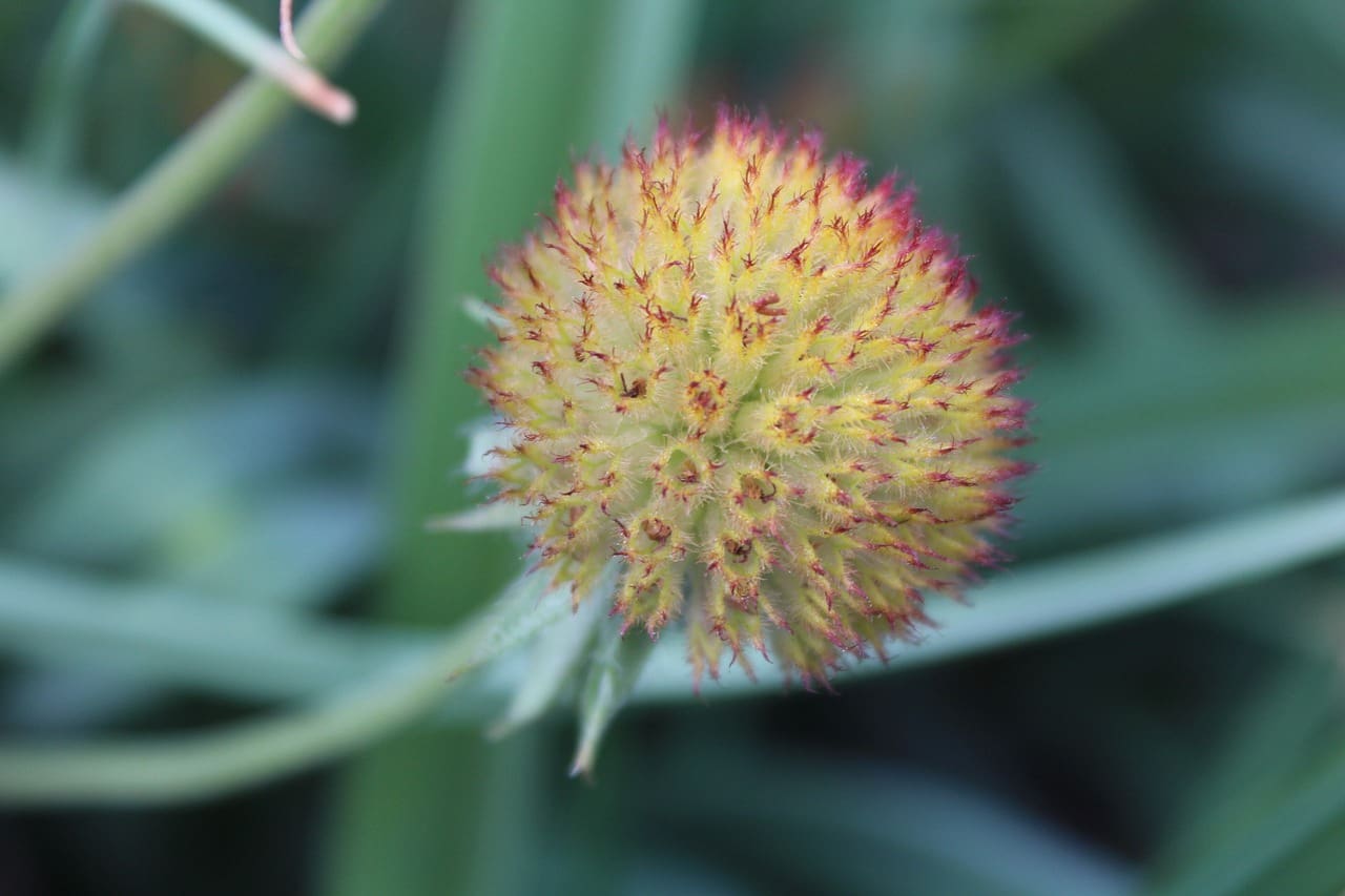 Healthy Aging: Tips For Managing Menopause