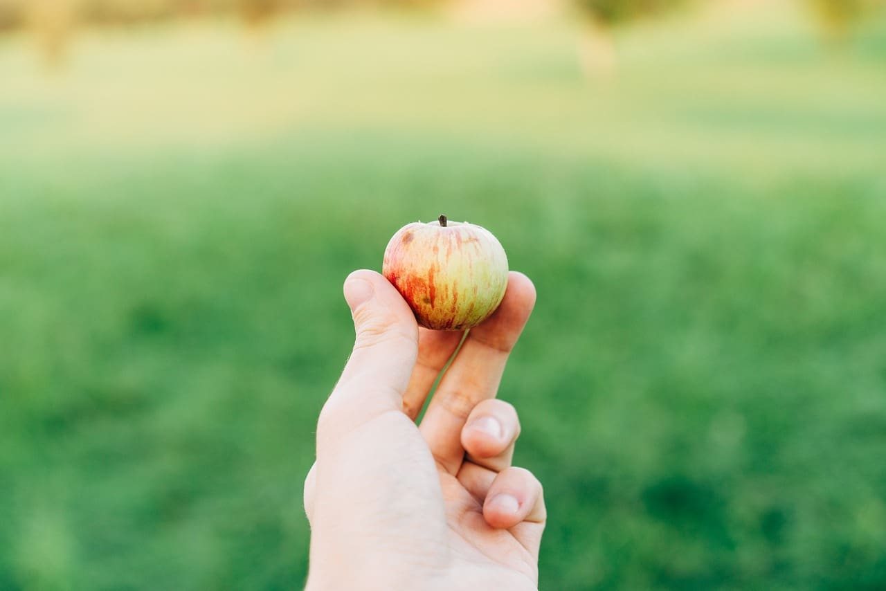 How To Create A Healthy Snack Drawer At Home