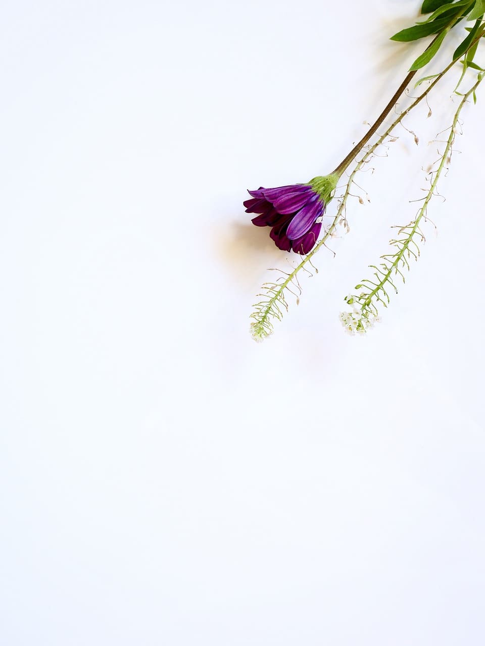 How To Improve Emotional Well-Being For Women
