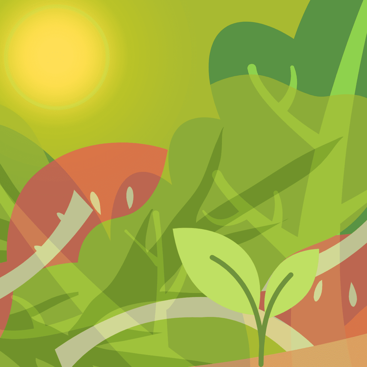 How To Plan A Nutrient-Dense Vegan Diet