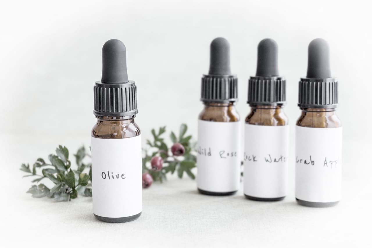 Incorporating Bach Flower Remedies Into Holistic Healing
