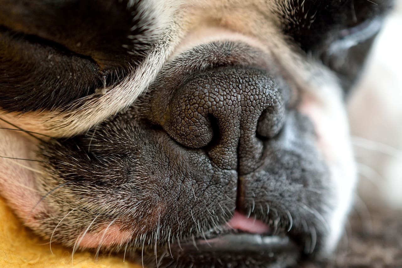 Living With Chronic Fatigue Syndrome: A Comprehensive Guide