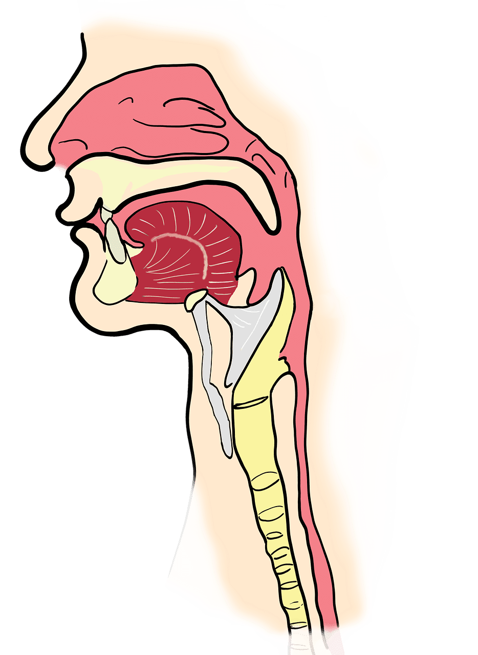 Living With Chronic Sinusitis: A Comprehensive Approach