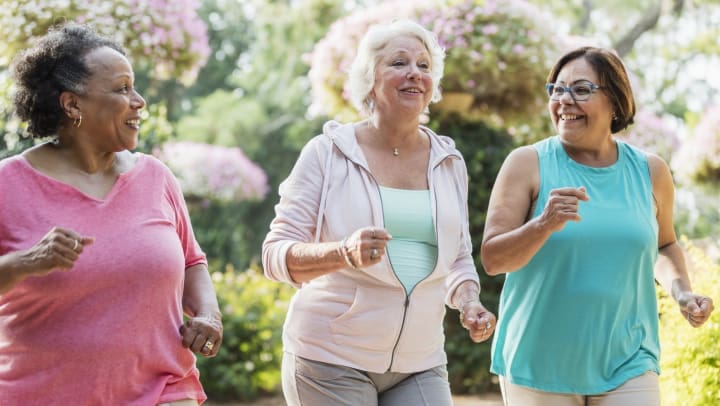 Longevity And The Benefits Of Regular Social Engagement