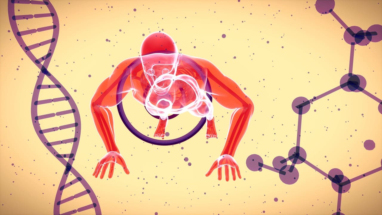 Longevity And The Impact Of Environmental Factors On Aging
