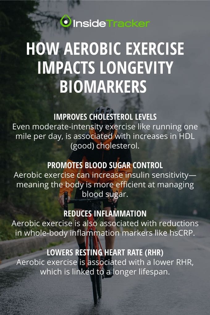 Longevity And The Role Of Endurance Exercise