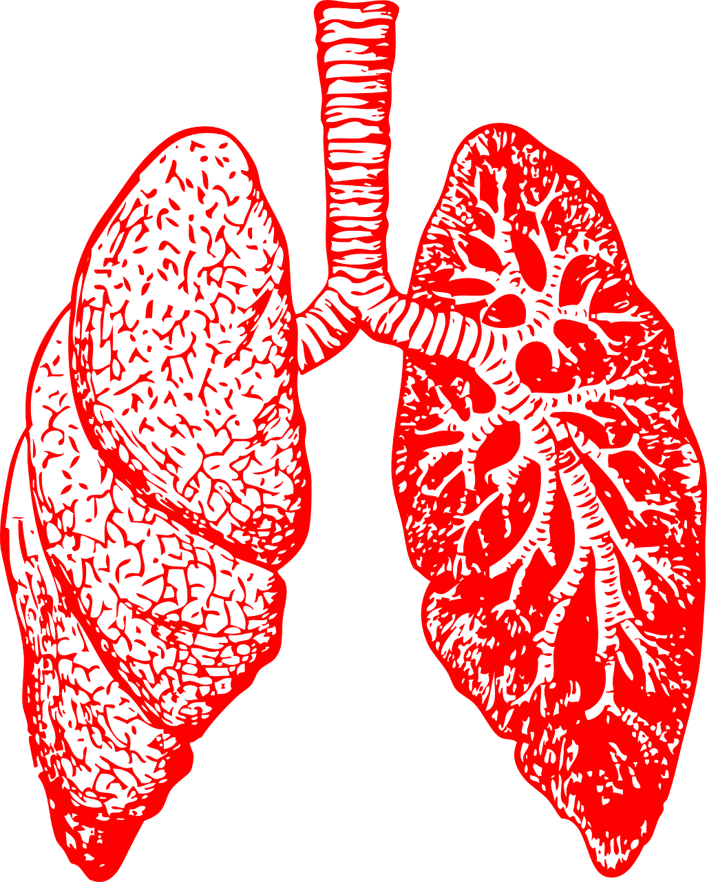 Managing Chronic Bronchitis: A Comprehensive Approach