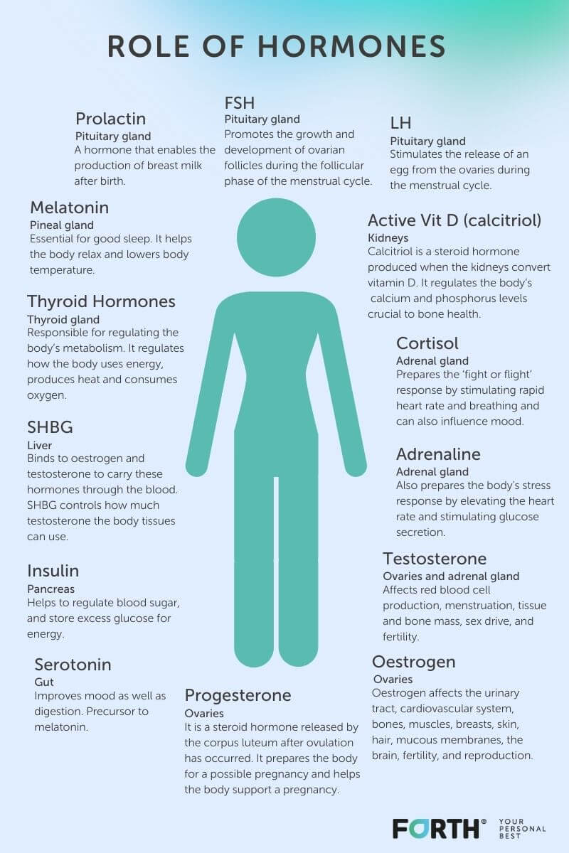 Most Common Factors Affecting Womens Hormonal Health
