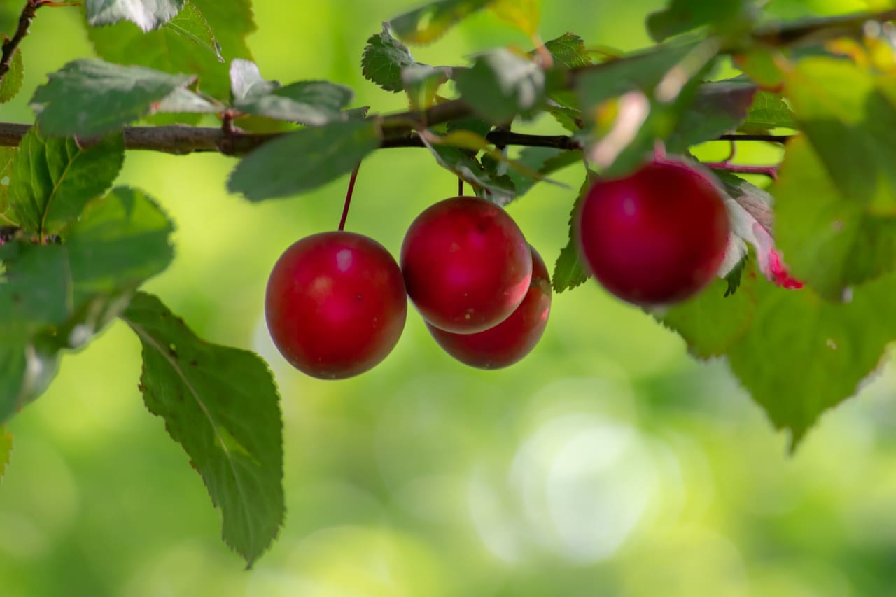 Most Popular Ways To Detoxify Your Body Most Popular Ways To Detoxify Your Body