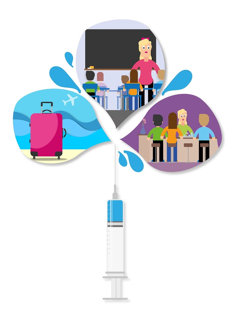 Natural Remedies For Enhancing Immune Function