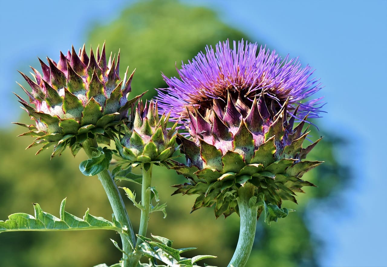 Optimizing Mens Nutritional Intake For Peak Performance