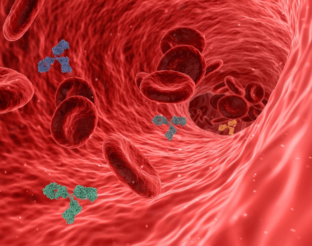 Simple Ways To Boost Immunity For Men
