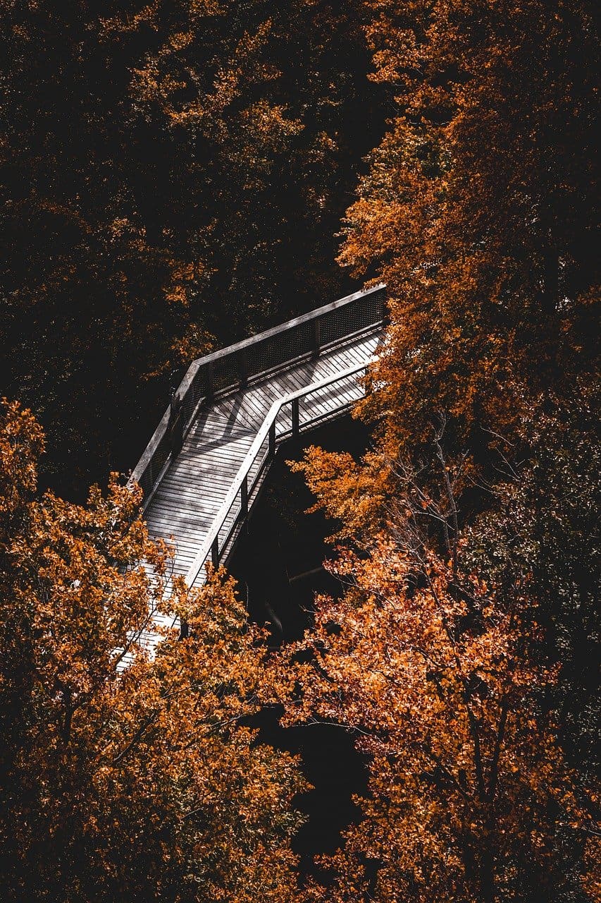 The Effects Of Meditation On Mental Well-being