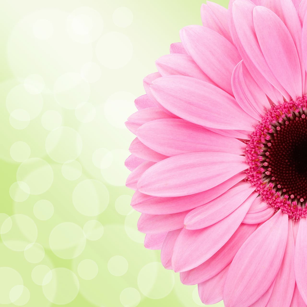 The Importance Of Mental Health Counseling For Wellness
