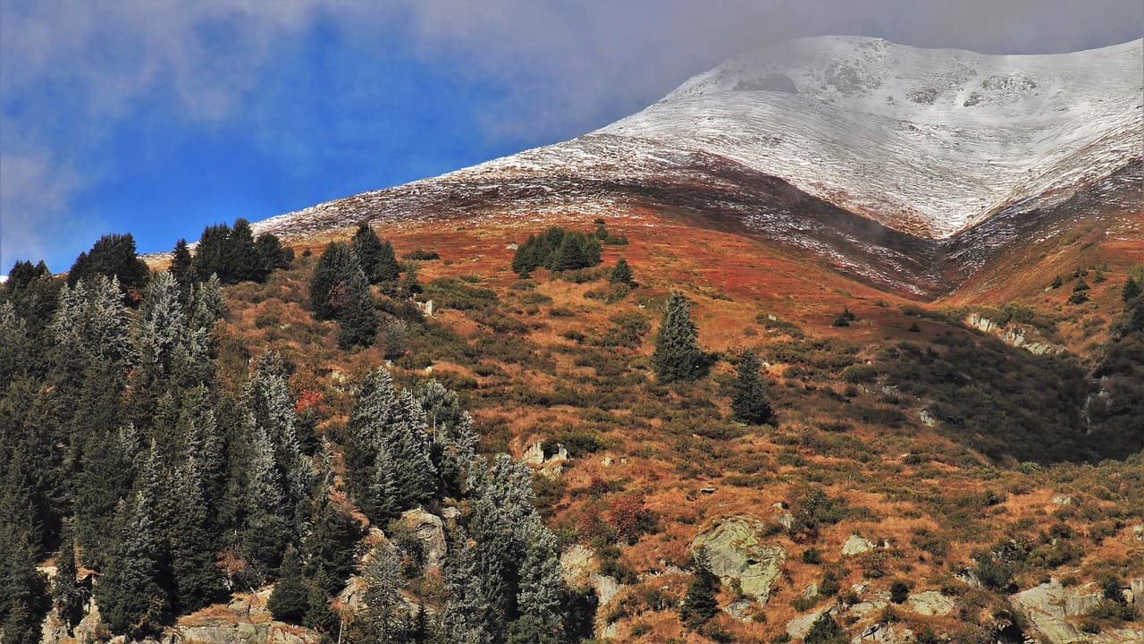 The Science Behind Muscle Recovery