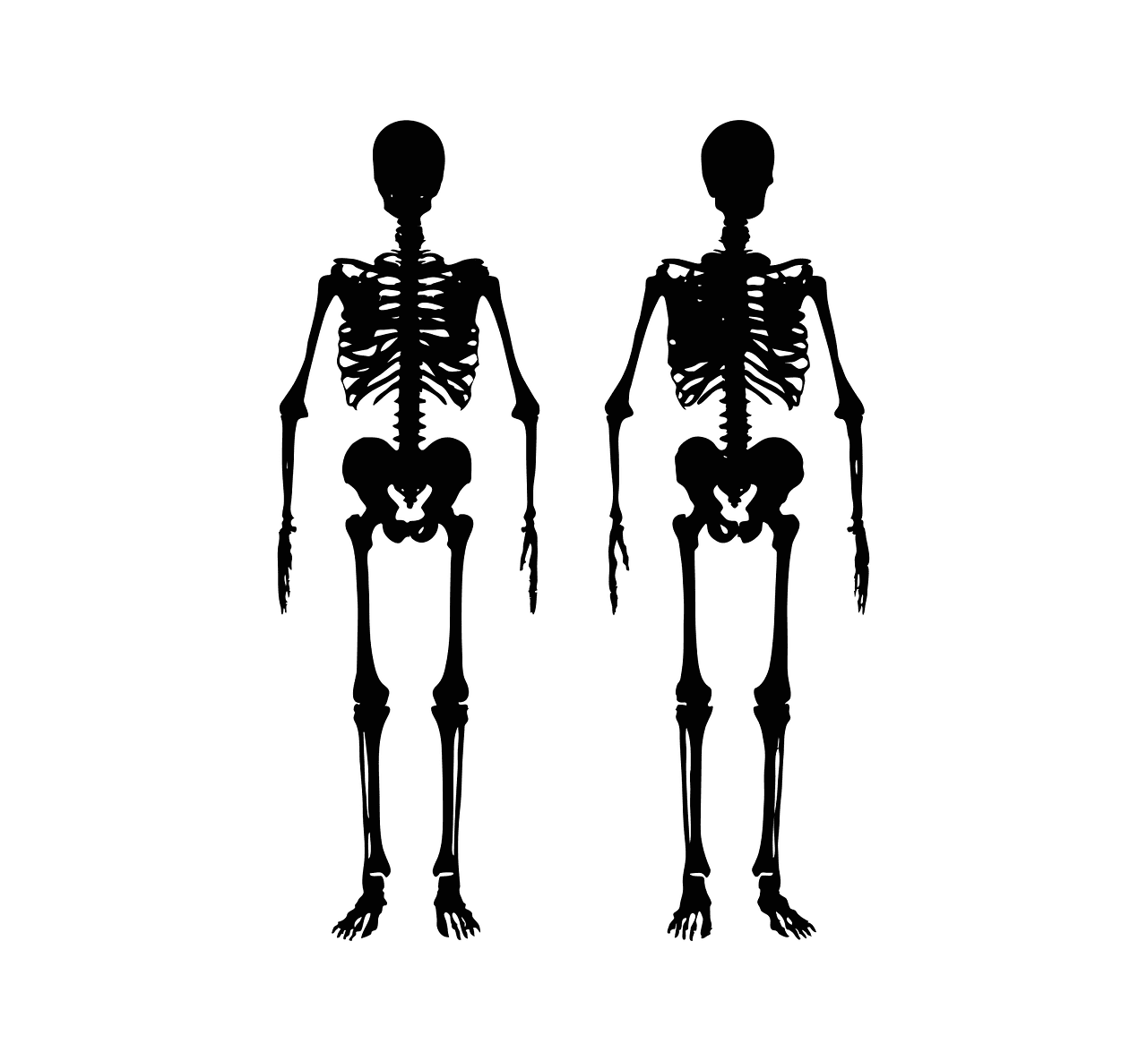 Top 10 Tips For Preventing Osteoporosis