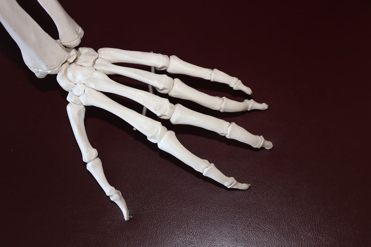 Top Ways To Improve Joint Health As You Age