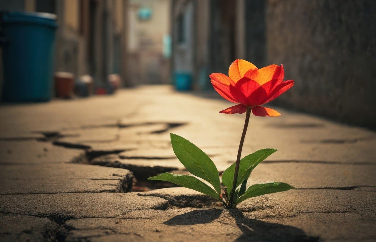 Top Ways To Improve Mental And Emotional Resilience