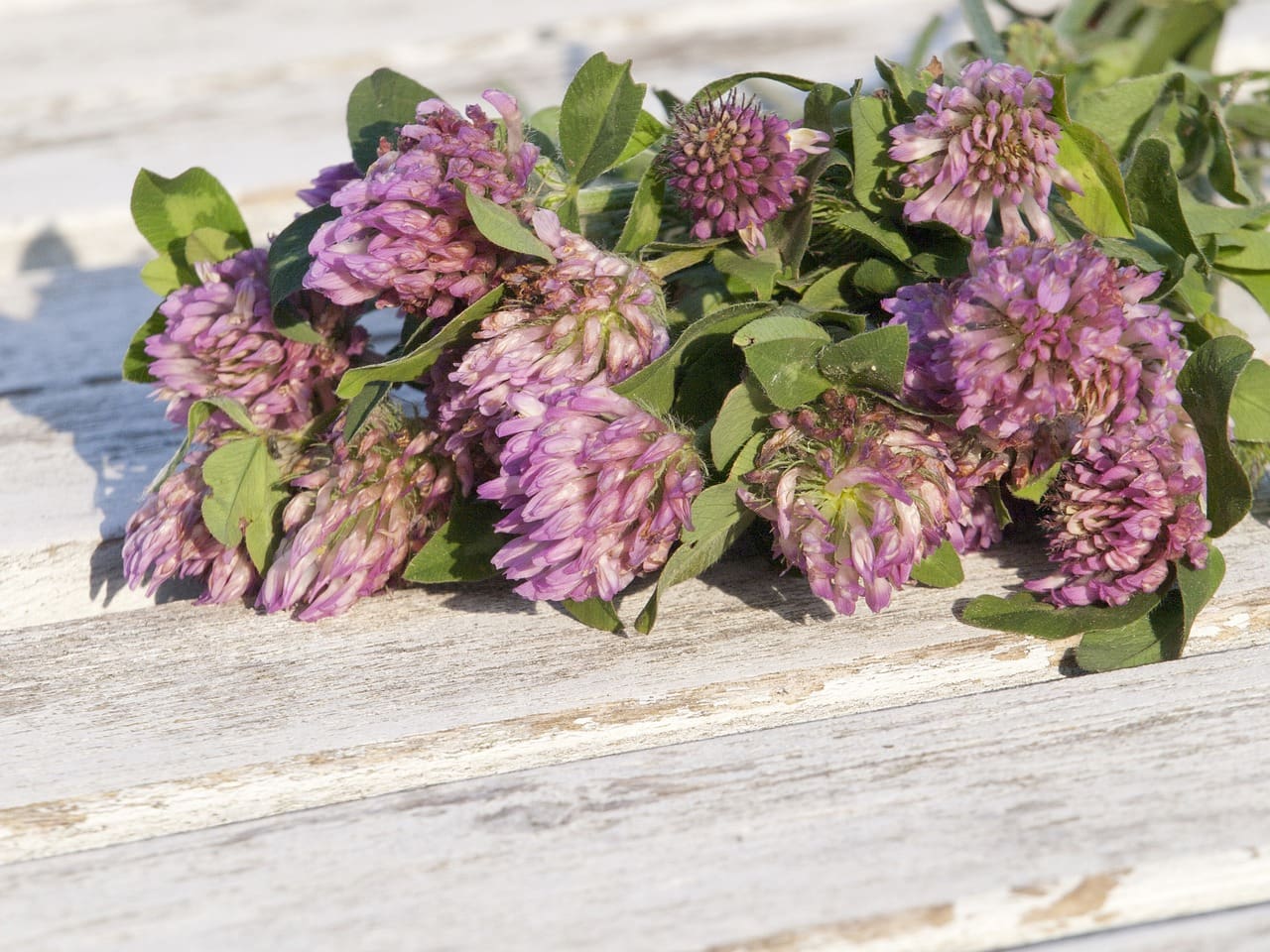 Top Ways To Manage Menopause Naturally