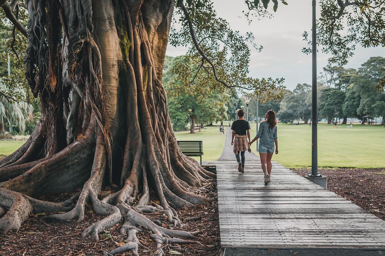 Top Ways To Practice Self-compassion And Self-forgiveness